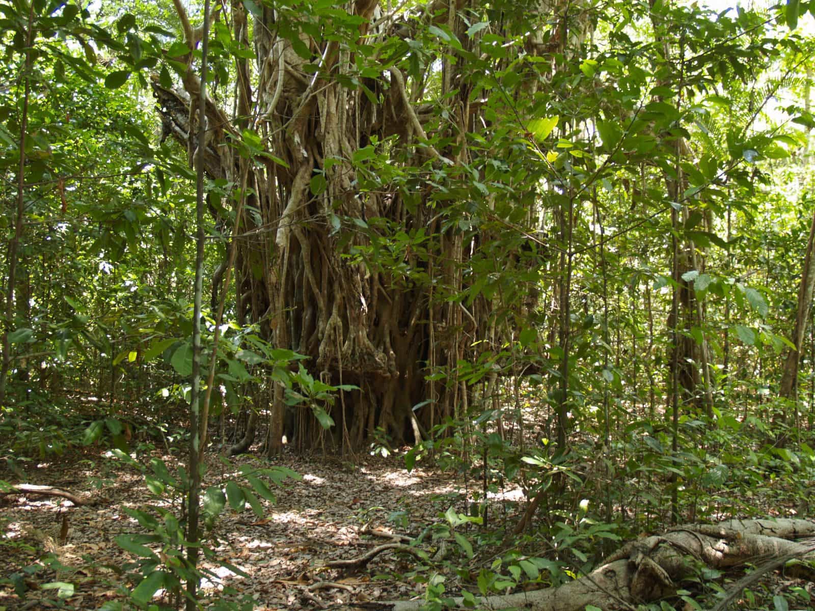 Mary River National Park