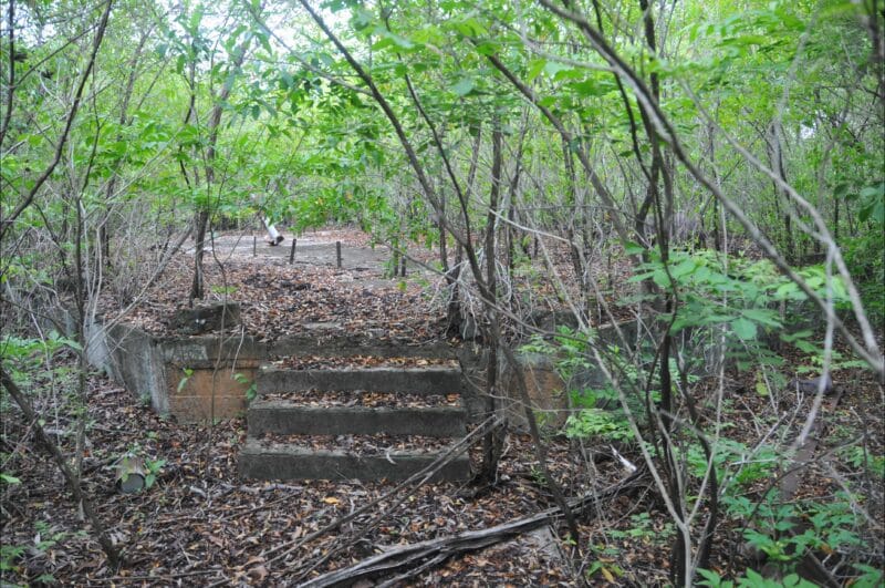 Steps leading to what was the school.