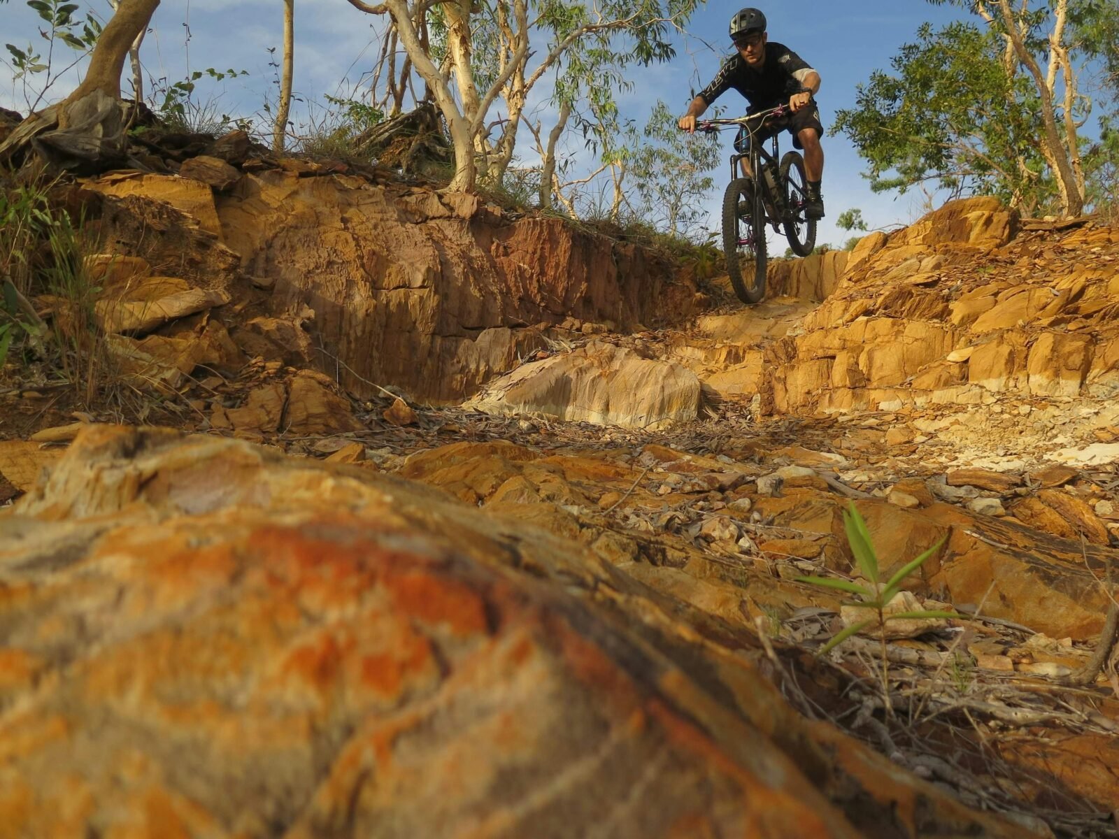 Person mountain biking down terrain at the Charles Darwin National Park