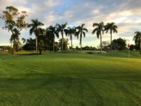 8th green