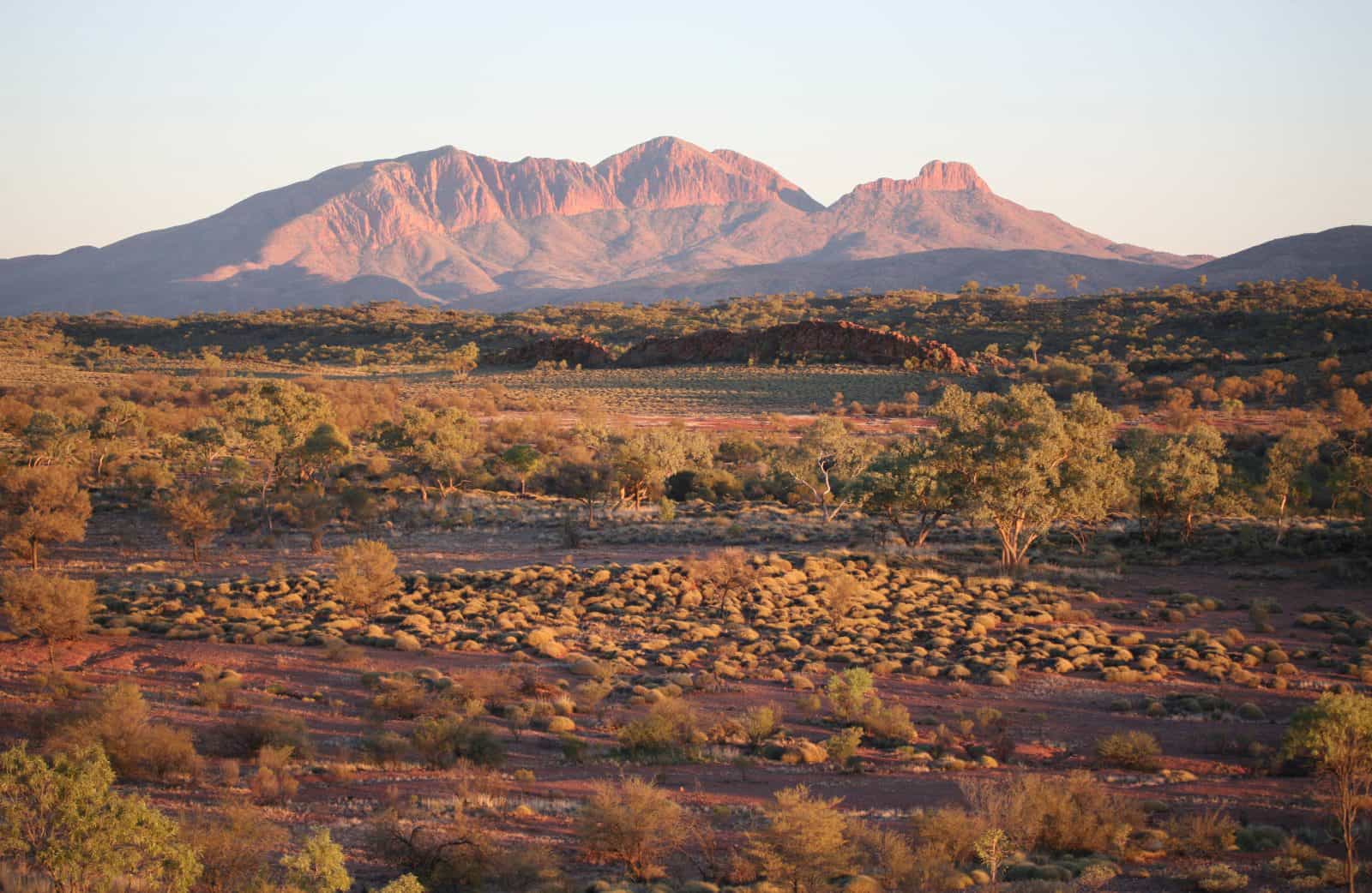 view across landscape to Mt Sonder