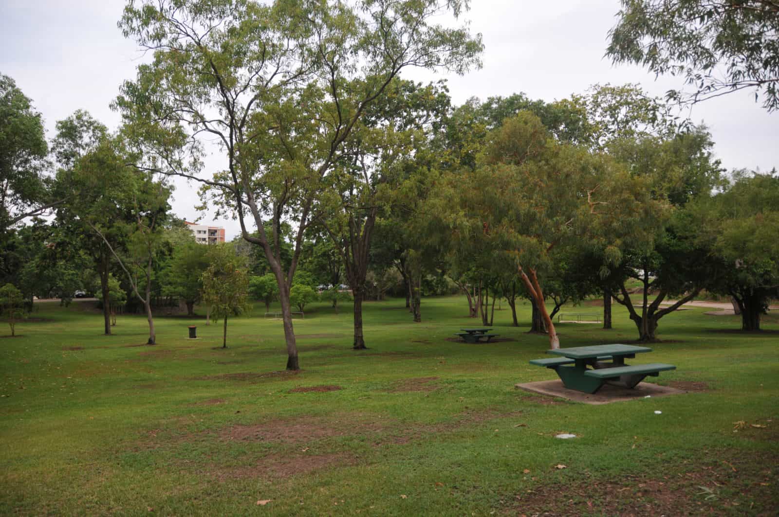 Frog Hollow – mature trees on the site. The landscape is well maintained