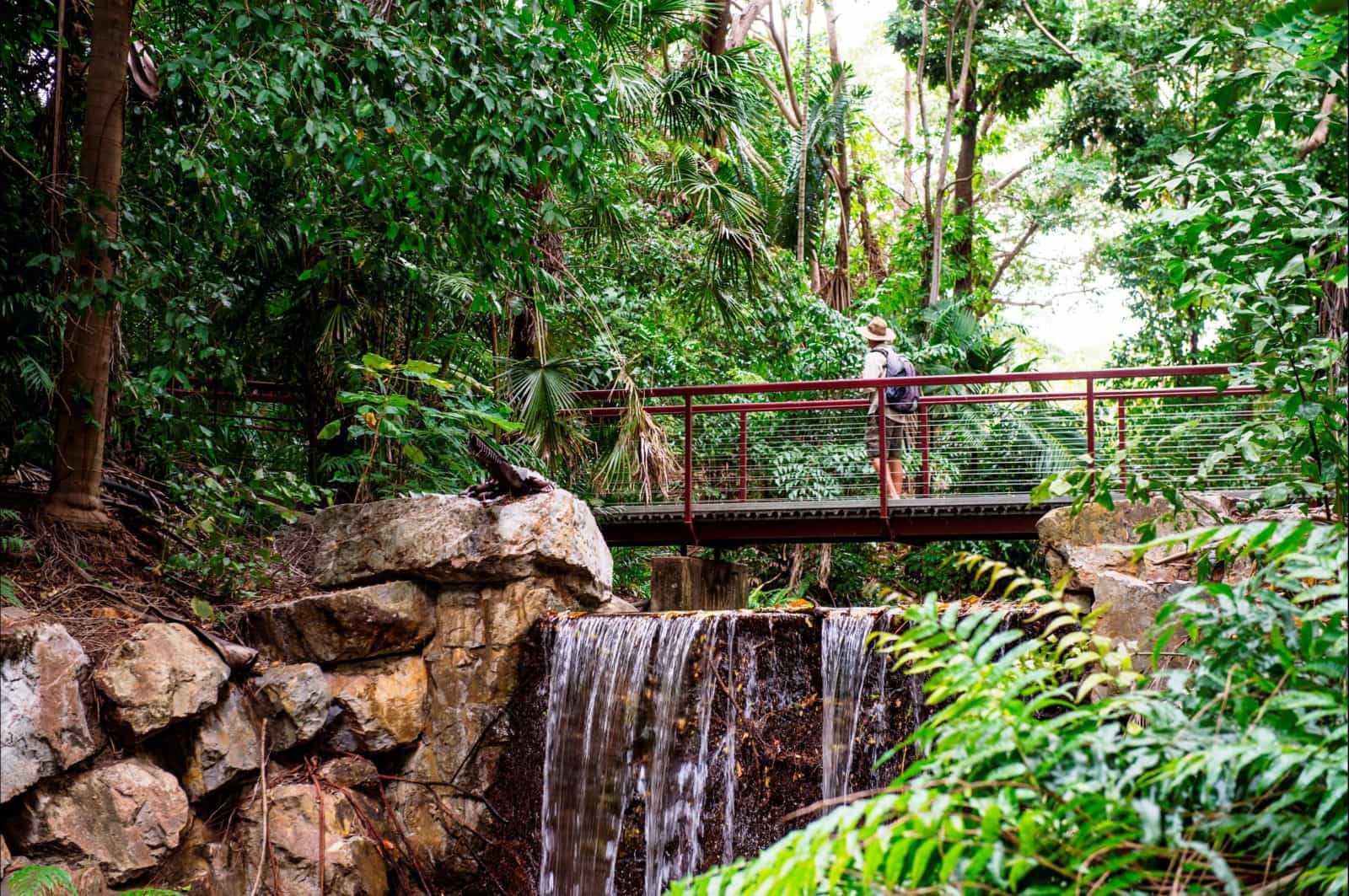Waterfall and Lookout in the Rainforest