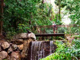 Waterfall and Lookout in the Rainforest