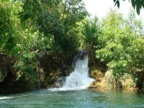 Tufa dams on the Flora River