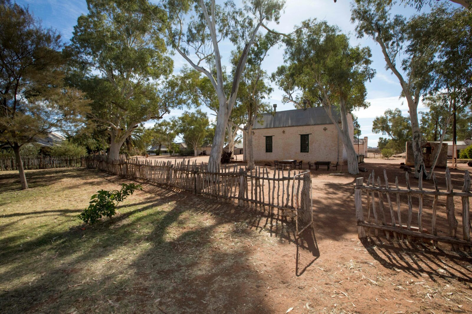 gum trees shading historical buildings