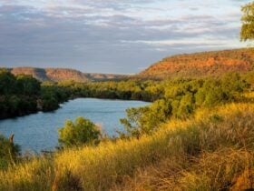 Victoria River - Judbarra / Gregory National Park