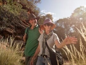 Visitors explore Kings Canyon on the Kings Creek walk.