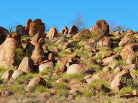Rocks