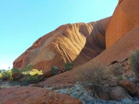 Sunlit red rock formations at Uluá¹uâKata Tjuá¹¯a with desert shrubs under a clear blue sky.