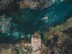 Aerial view of visitors relaxing at the Mataranka Thermal Pool