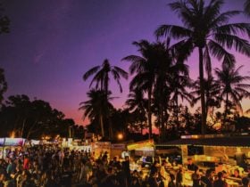 Mindil Market by Night