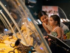 Transformations Natural Science Gallery