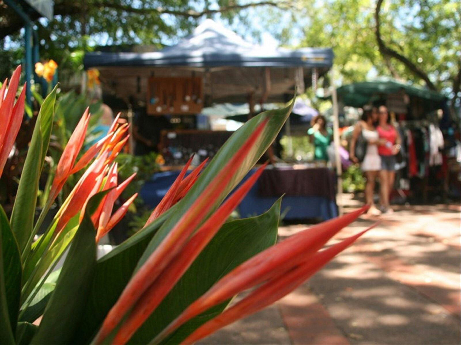 Nightcliff Markets