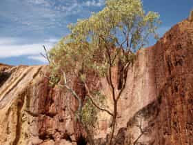 Ochre Pits