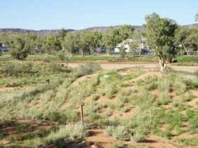 General view of man-made dirt mound in which the seismic vault is located