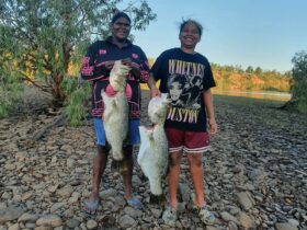 Two people holding barramundi at Seven Emu Station