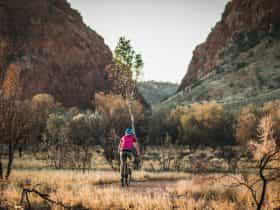 A woman rides a mountain bike on the bike path towards Simpsons Gap