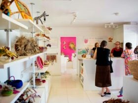 Tjanpi Desert Weavers Gallery, Aboriginal Art, Alice Springs, Gallery