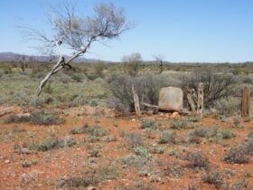The remains of graves at the Winnecke Goldfields Cemetery.