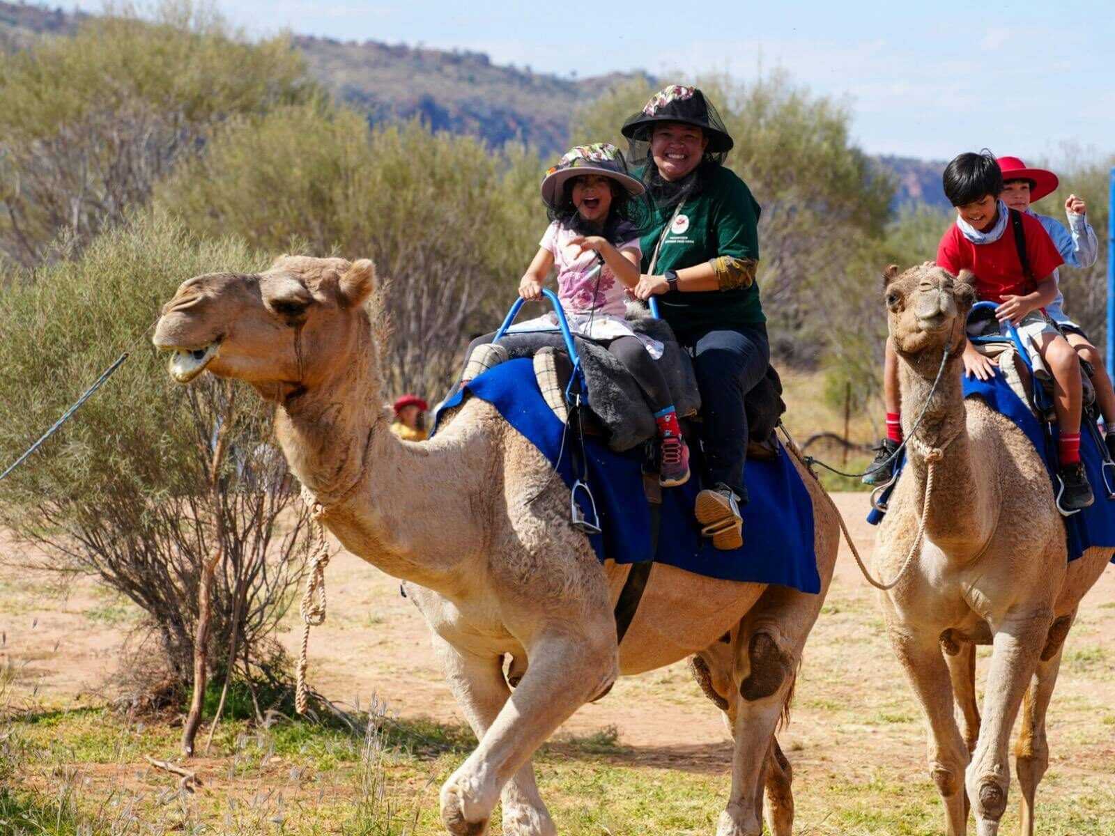 People riding camels
