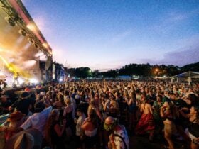 Crowd watching the BASSINTHEGRASS stage