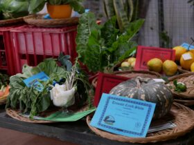 Horticulture entries