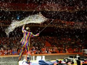 The Bubble Spectacular