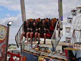 People on a show ride, there is ferris wheel is background.