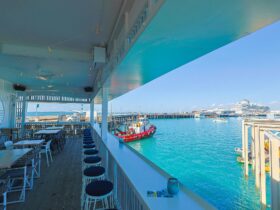view from Dock One