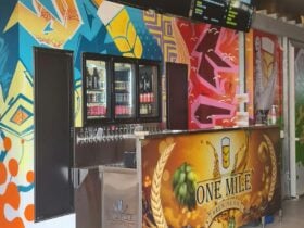 This is the bar as you enter the brewey
