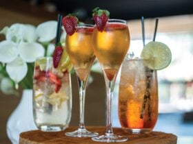 Cocktails, Wine & Beer