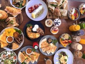 All-day dining food & beverages.