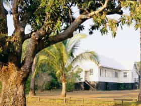 Bathurst Island - Darwin Area - Northern Territory