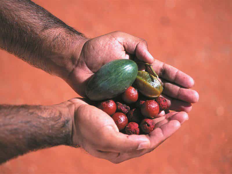 Alice Springs and Surrounds Northern Terrritory