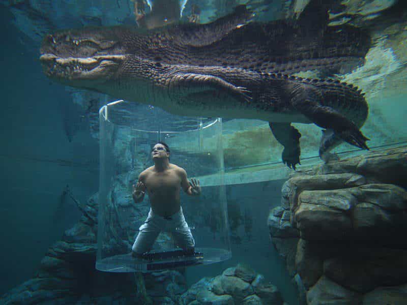 Darwin and surrounds Northern Territory