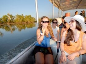 Mary River wetlands cruise