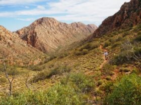 Trekking the Larapinta Trail