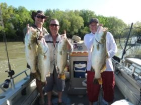 Darwin's North Australia Barra Fishing