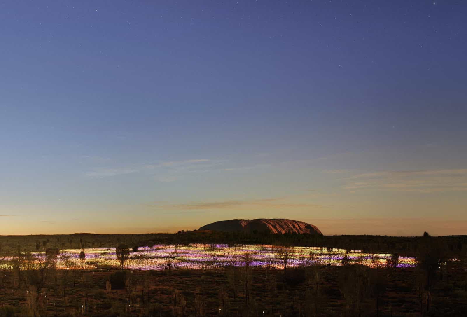 Field of Light Uluru