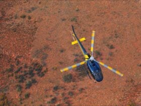 Kings Canyon Squirrel AS 350 Northern Territory