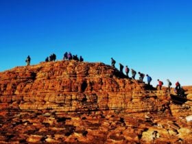 Remote Tours NT