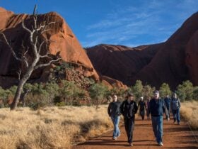 Kuniya walk, Mutitjulu waterhole