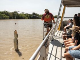 Passengers watch as a crocodile rises from the water