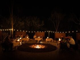 Guests enjoying Under A Desert Moon
