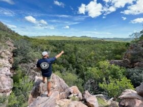 Rowdy Kakadu