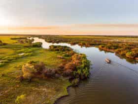 Corroboree Billabong cruise