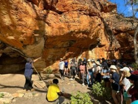 Explore and learn about their significance