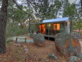 1 Bedroom Villa 4