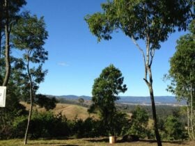 Site 13 some of the best views